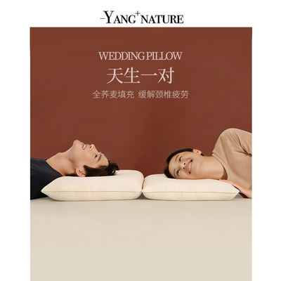 氧家荞麦枕头枕芯一对结婚礼物