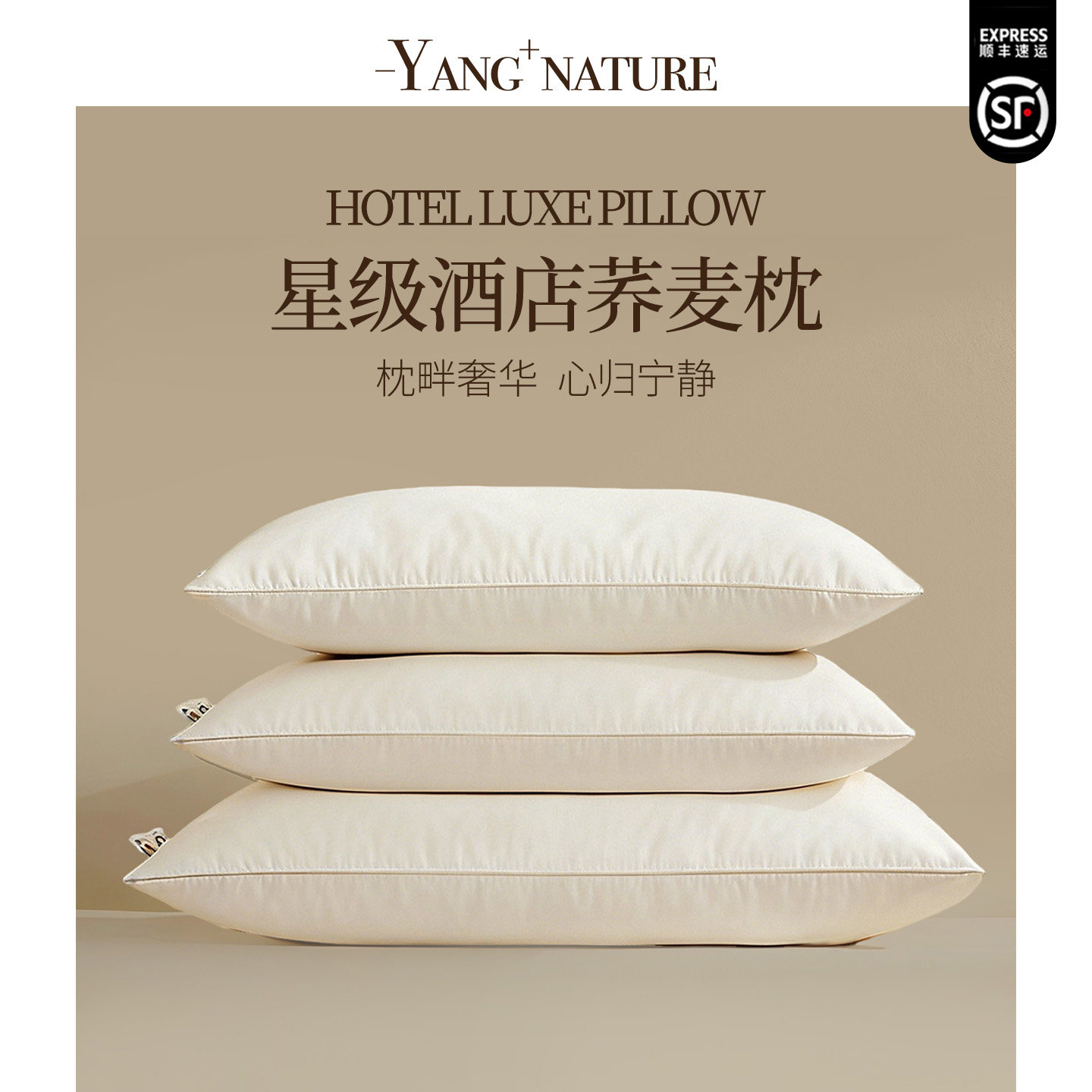 氧家荞麦枕头枕芯一对五星级酒店枕头护颈椎助睡眠专用成人荞麦壳