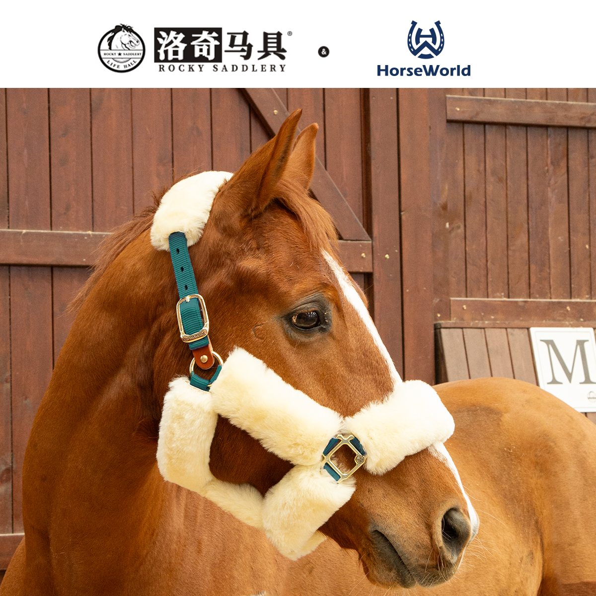 Horseworld羊皮尼龙安全设计防护马笼头 8218150