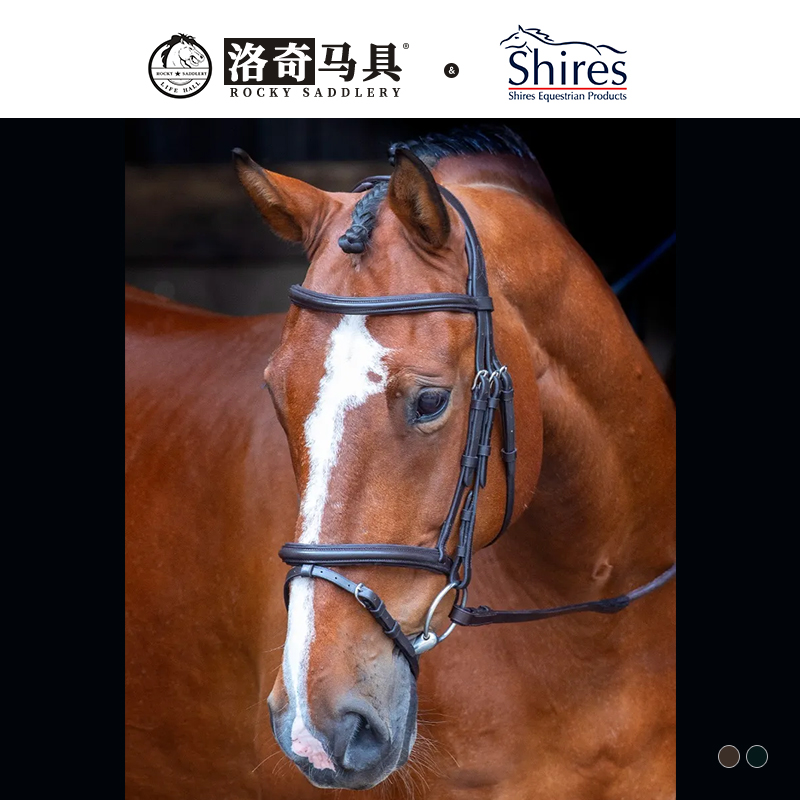 水勒缰英国牛皮马术马具Shires