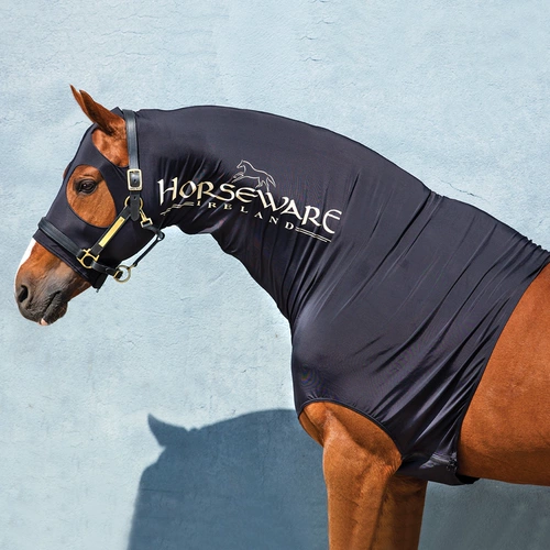 Полога плеча на плечо Rock Horse 8219066