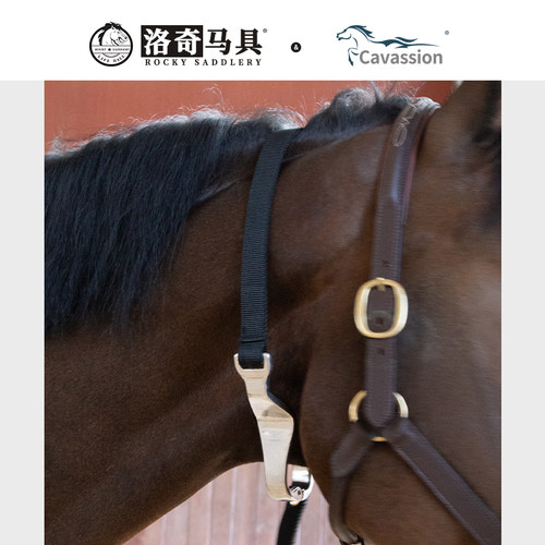 Cavassion马用咽气夹 防止马咽气涨气工具 洛奇马具8216043