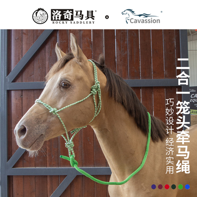 可调节一体式笼头牵马绳马术马具