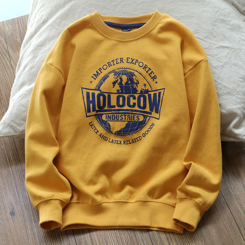 潮款面料男童外贸儿童卫衣