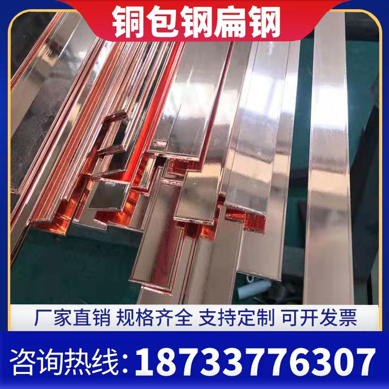 镀铜扁铁40*4铜覆扁钢 镀铜扁钢铜包钢扁铁防雷接地扁铁厂家直销