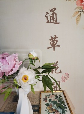 【通草花开】纯手工制作非遗通草花通草纸牡丹限量工艺品定制礼品