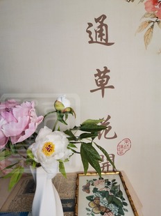 【通草花开】纯手工制作非遗通草花通草纸牡丹限量工艺品定制礼品