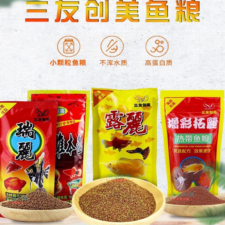 三友创美观赏鱼露丽拓丽小型