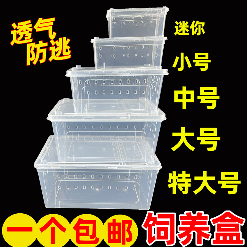 爬宠盒爬虫饲养箱昆虫蝎子蜥蜴蜘蛛蛇蜗牛等宠物饲养盒乌龟冬眠箱