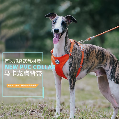 超轻透气中小型犬胸背牵引绳
