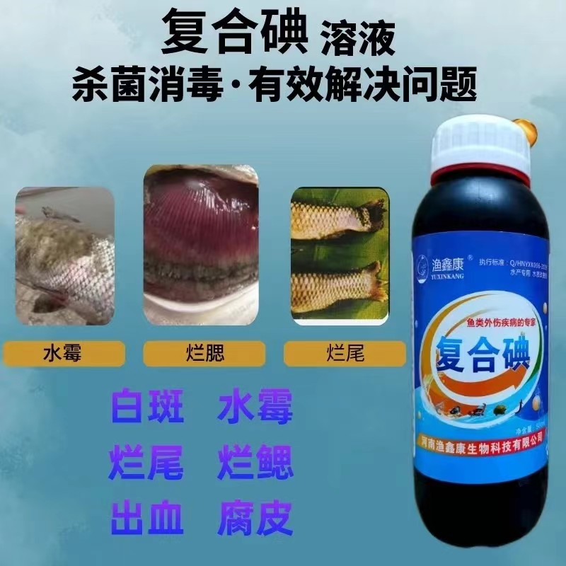 复合碘水产养殖消毒液鱼塘杀菌消毒细菌性疾病预防鱼病药鱼塘鱼药