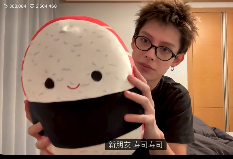 现货赵雨凡同款玩偶寿司饭团抱枕cortis成员James直播公仔新品