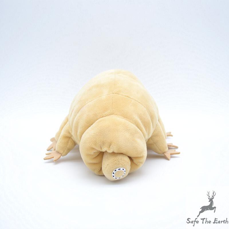 地球自然生物水熊虫公仔仿真动物水熊毛绒玩具布娃娃睡觉礼品