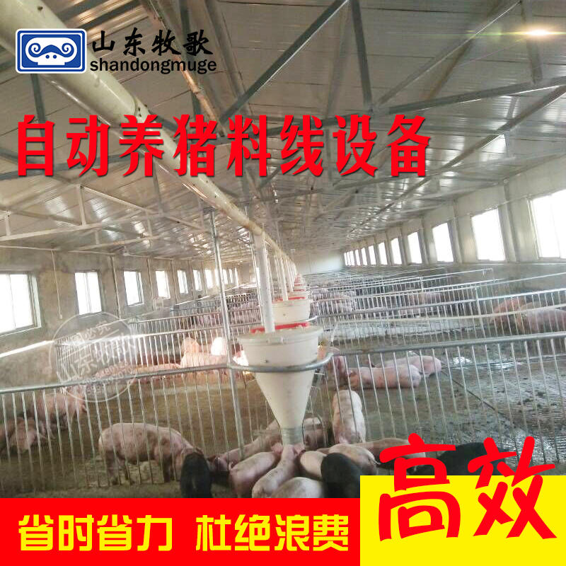 猪场育肥料线配件 整体全自动料线 蛟龙式自动喂料上料线供料系统