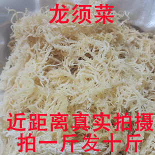 龙须菜干货石花菜海石花海草海藻鹿角菜海发菜干裙带菜凉拌食材