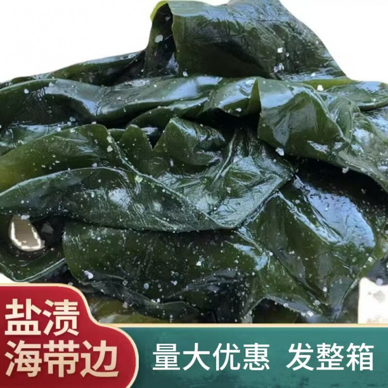 盐渍海带边新鲜炒炖凉拌煲汤涮锅