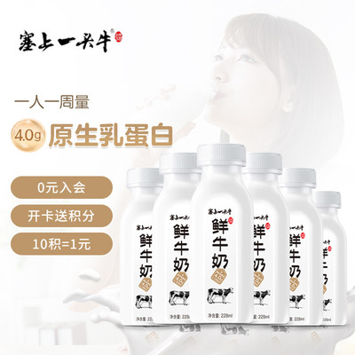 塞上一头牛鲜牛奶228ml*6瓶