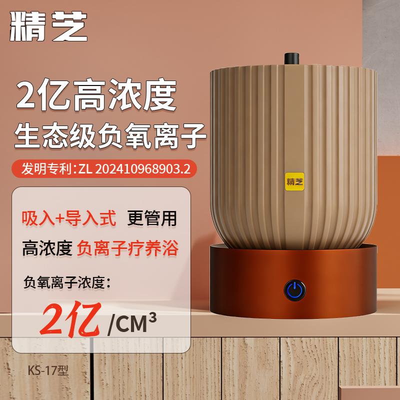 精芝2亿浓度多功能负离子发生器森林氧吧小粒径负离子空气净化器