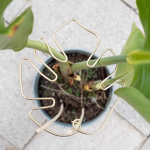 龟背竹支撑杆龟固定神器春羽支撑杆植物聚拢定型花枝防倒伏支架