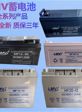 LMV蓄电池MF100-12 LC-XA1265 12V24AH38AH17AH20AH UPS直流屏用