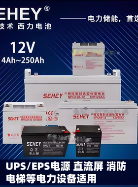 SEHEY西力蓄电池NPG12V7AH17A20A24A38A40A65A100AH直流屏UPS电源