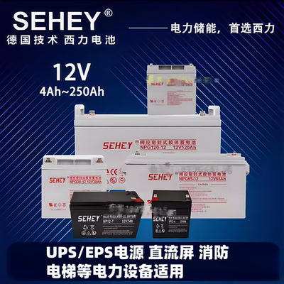 SEHEY西力蓄电池NPG12V7AH17A20A24A38A40A65A100AH直流屏UPS电源