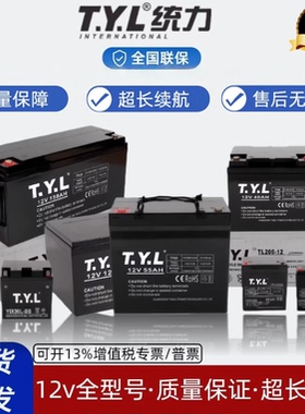 TYL蓄电池6FM40免维护铅酸12V17AH38A65A100AH直流屏UPS应急储能