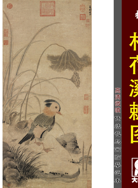 张中枯荷鸂鶒图宋元花鸟画小品临摹绢布画稿传统工笔花鸟范画范本