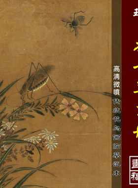 王渊花鸟草虫册高清微喷宋元花鸟画临摹绢布画稿工笔花卉草虫范本