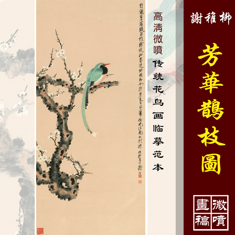 谢稚柳芳华鹊枝图高清微喷近代名家装饰画工笔花鸟画临摹绢布画稿