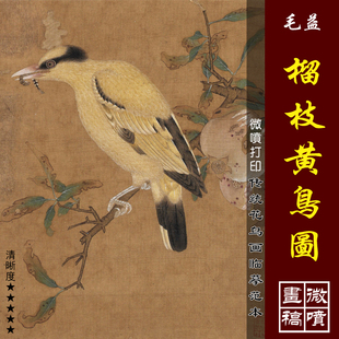 毛益榴枝黄鸟图微喷打印宋元花鸟小品临摹绢布画稿工笔花鸟画范本