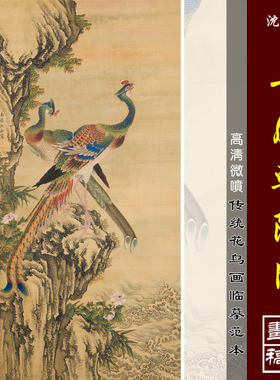 沈铨款丹凤朝阳图微喷打印明清花鸟画临摹绢布画稿工笔凤凰画范本