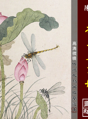 陈书花鸟鱼虫图册高清微喷画稿