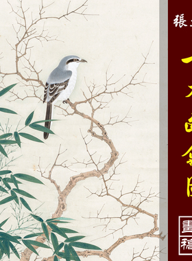 张大千古木幽禽图高清国画花鸟临摹彩色画稿工笔花鸟仿古画微喷
