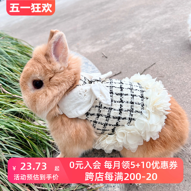 兔子香风衣服牵引绳荷兰猪猫咪