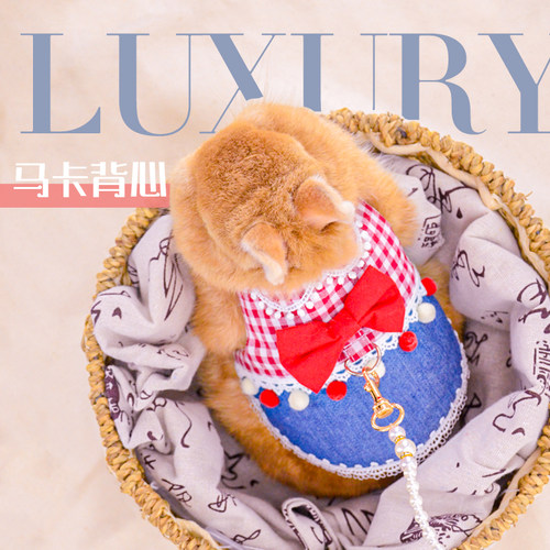 原创手工制作兔子 兔兔衣服 牵引绳可爱衣服 胸背带马卡背心