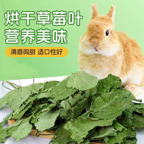 umi烘干草莓叶草莓秧兔兔零食草