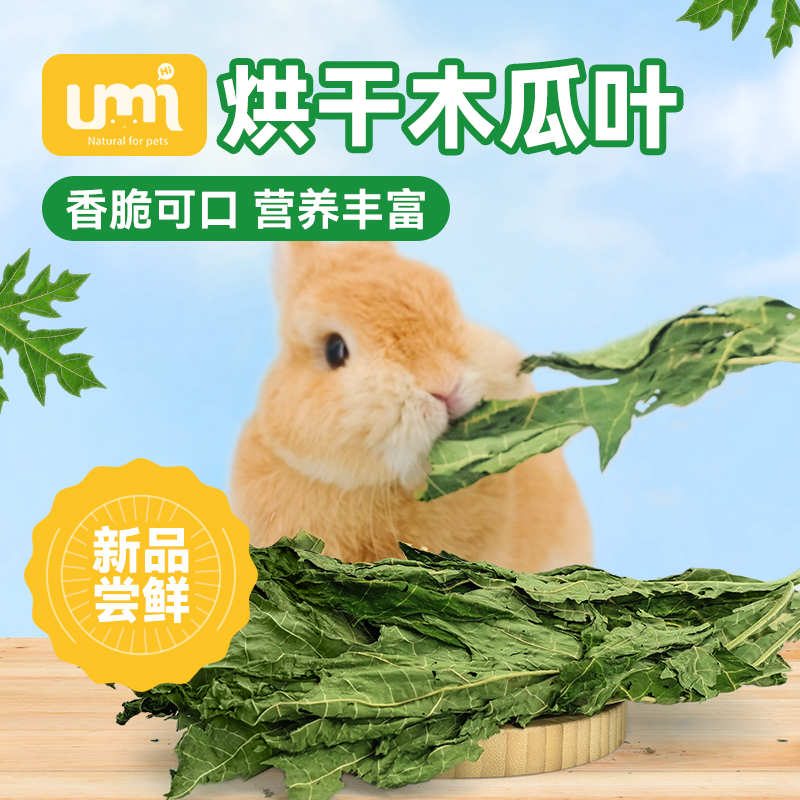 兔子健康零食木瓜叶烘干