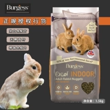 Spot Burgess Indoor Rabbit Grain 1,5 кг ошибки Bugs Balance Balance Ucudit Dandelion Дополнение VC23.4