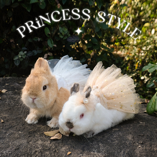 兔兔网纱公主裙带牵引绳外出装 兔子衣服垂耳兔侏儒 扮服饰可爱时尚