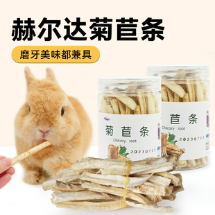 赫尔达菊苣条兔兔零食纯天然营养磨牙条小宠仓鼠龙猫荷兰猪磨牙棒