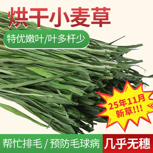 烘干小麦草兔子龙猫荷兰猪豚鼠幼兔成兔专用干草提摩西草段25年