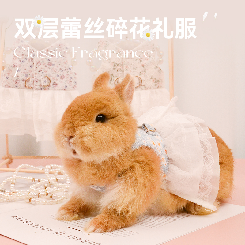 兔子衣服可爱双层蕾丝碎花礼服