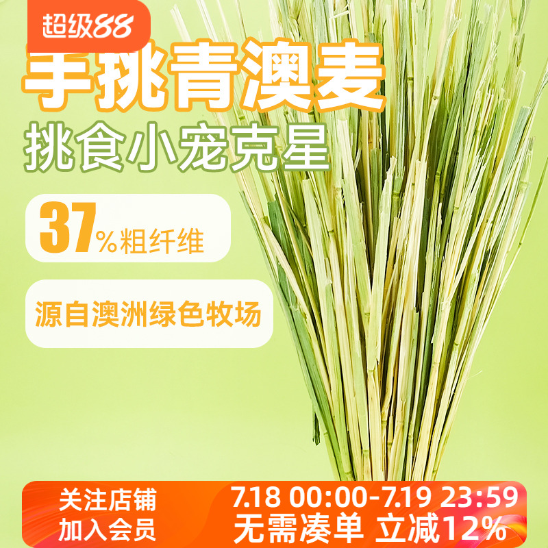 6A手工挑选青澳麦兔子主草