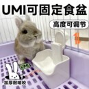 UMI兔子食盆悬挂式 加厚防啃咬兔兔饭碗荷兰猪龙猫防打翻高颜值