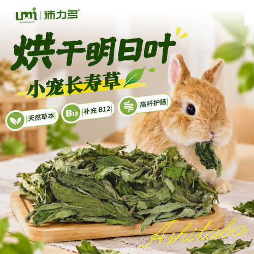 UMI烘干明日叶兔兔零食天然草本补充B12高纤护肠小宠长草