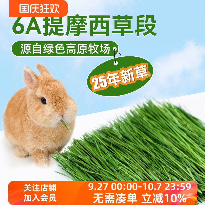 现货新草北提土拨鼠500g兔子