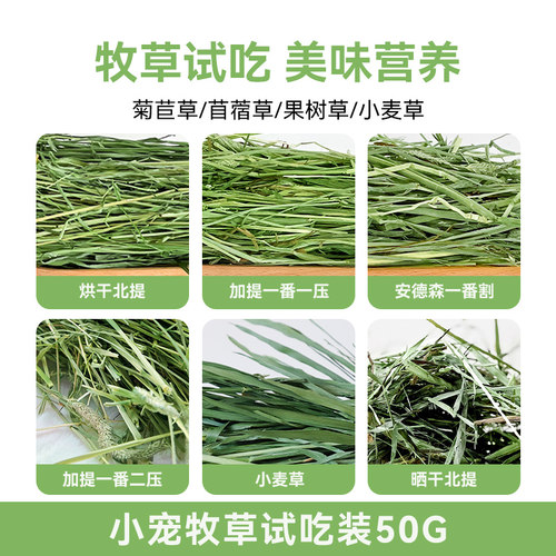 试吃草提摩西草黑麦草