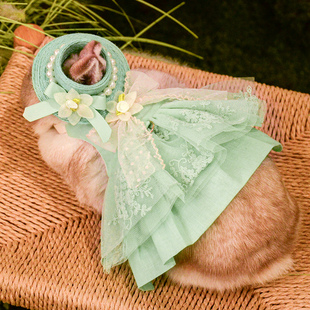 兔兔春天出游绿野仙踪公主裙子垂耳兔侏儒兔帽子牵引绳可爱服饰