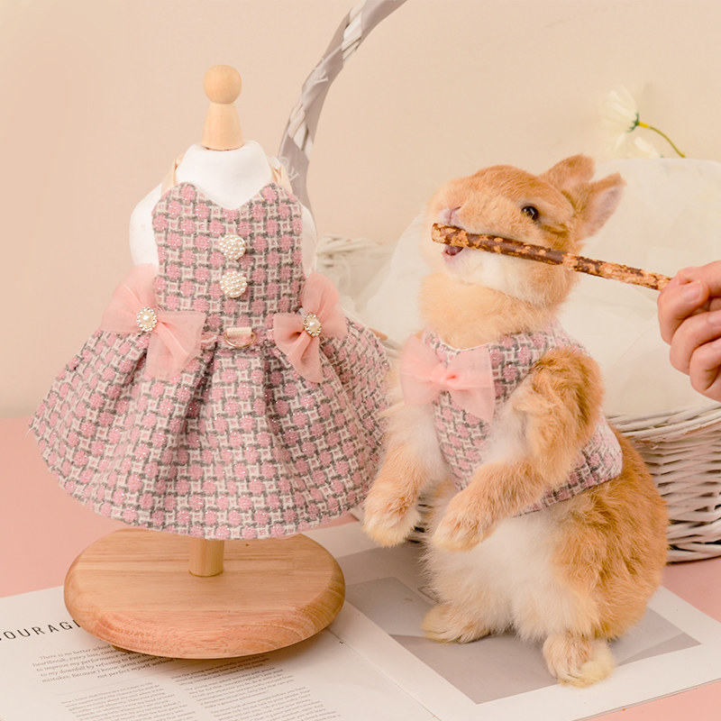 宠物兔兔可爱小香风外出牵引绳套装垂耳兔侏儒荷兰猪外出服饰,宠物/宠物食品及用品,狗宠物服装/雨衣,淘宝优惠券,粉丝福利购,淘宝优惠卷